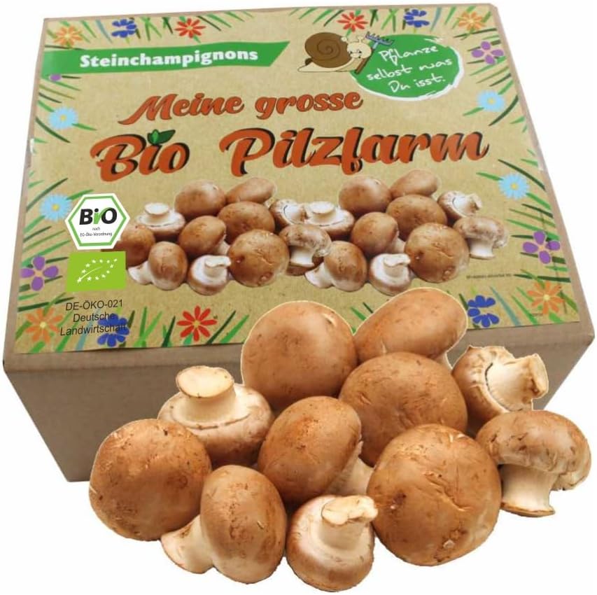 XXL Bio Steinchampignon 10 kg Pilzzuchtset